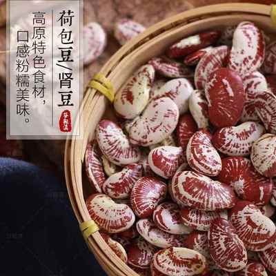 云南荷包豆大肾豆500g花芸豆花豆农家自产豆类五谷杂粮云南特产