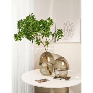 高级感花瓶客厅插花摆件玻璃水培马醉木雪柳吊钟南天竹轻奢装饰品