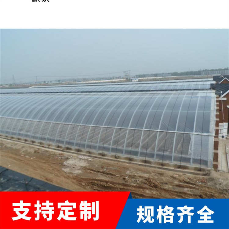 玻璃温室全钢管式日光温室大棚花卉种植展览育苗基地专业生产厂家