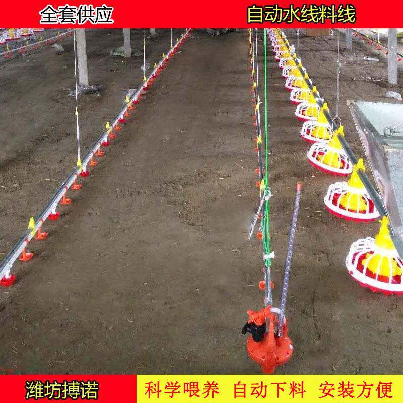 畜牧殖设备自养动线水线食器喂饮水器自动上AZV料机山东料线料厂