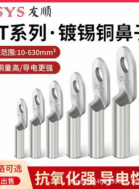 DT铜鼻子DT-185mm平方镀锡电缆线接线端子线耳线鼻子国标非标铜鼻