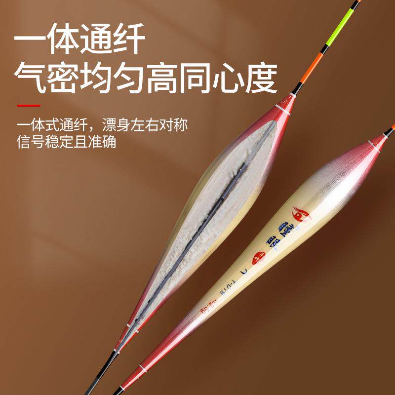 芦苇漂浮鲫鱼鲤鱼全套行程浮漂