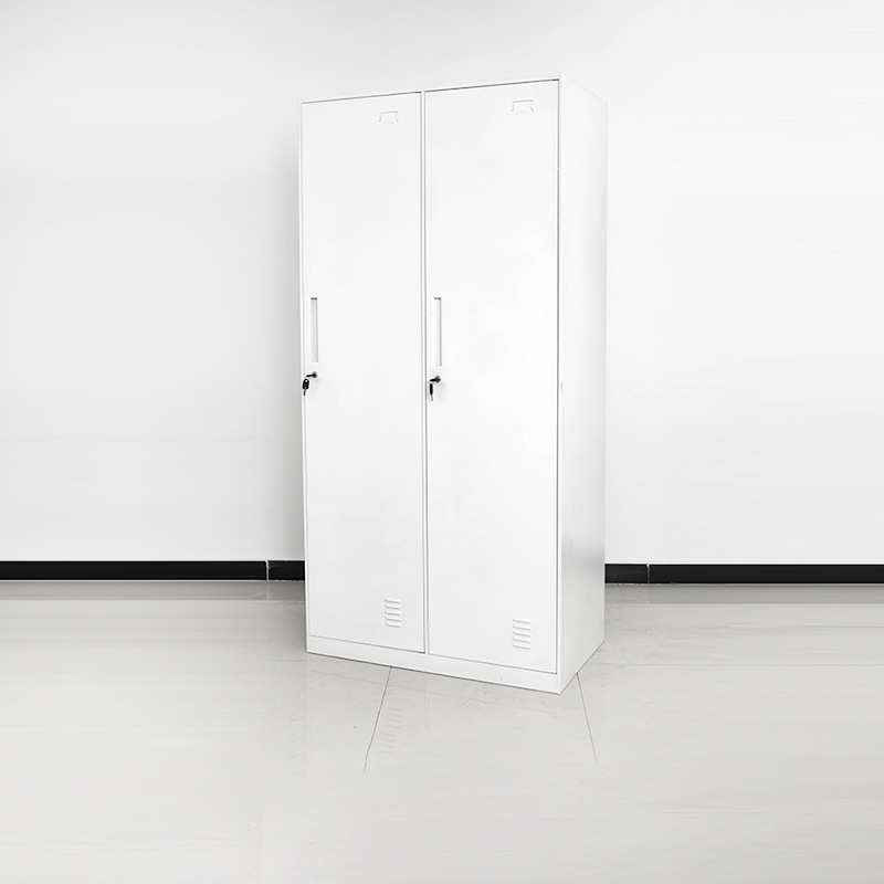 更衣柜钢制员工健身房浴室两门带锁衣柜子多门拆装铁皮储物收纳柜