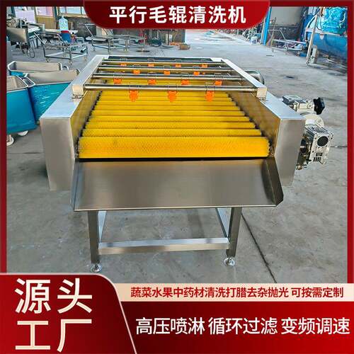 全自动莲藕山药去泥清洗机毛豆去毛发设备竹笋平行毛辊清洗机