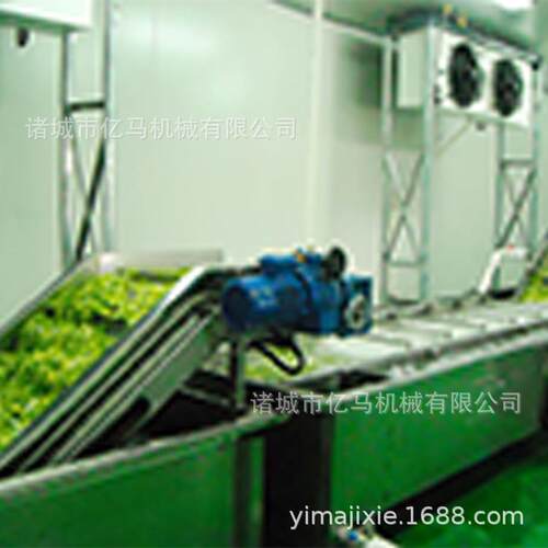 白菜涡流清洗加工生产 油菜净菜毛辊清洗机 黄瓜果蔬清洗工厂