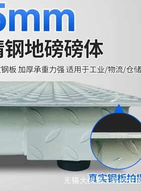 大树器3-5吨秤SCS-5T电子地磅 工磅业称重5T小型平台地衡称厂家