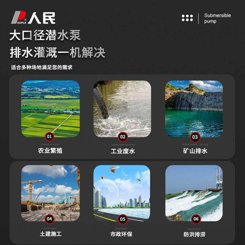 人民电器潜水泵家用220V高扬程大功率抽水泵农用灌溉清水泵排污泵
