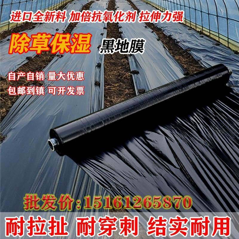 农用地薄膜黑色塑料膜防草膜专用保湿吹塑膜果树园蔬菜塑料布新料