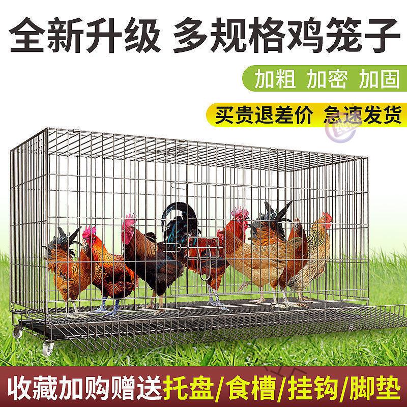 笼特大号鸡舍笼家禽子阳台家用养殖鸭子户外鸡笼自动清鸽子鸡窝粪