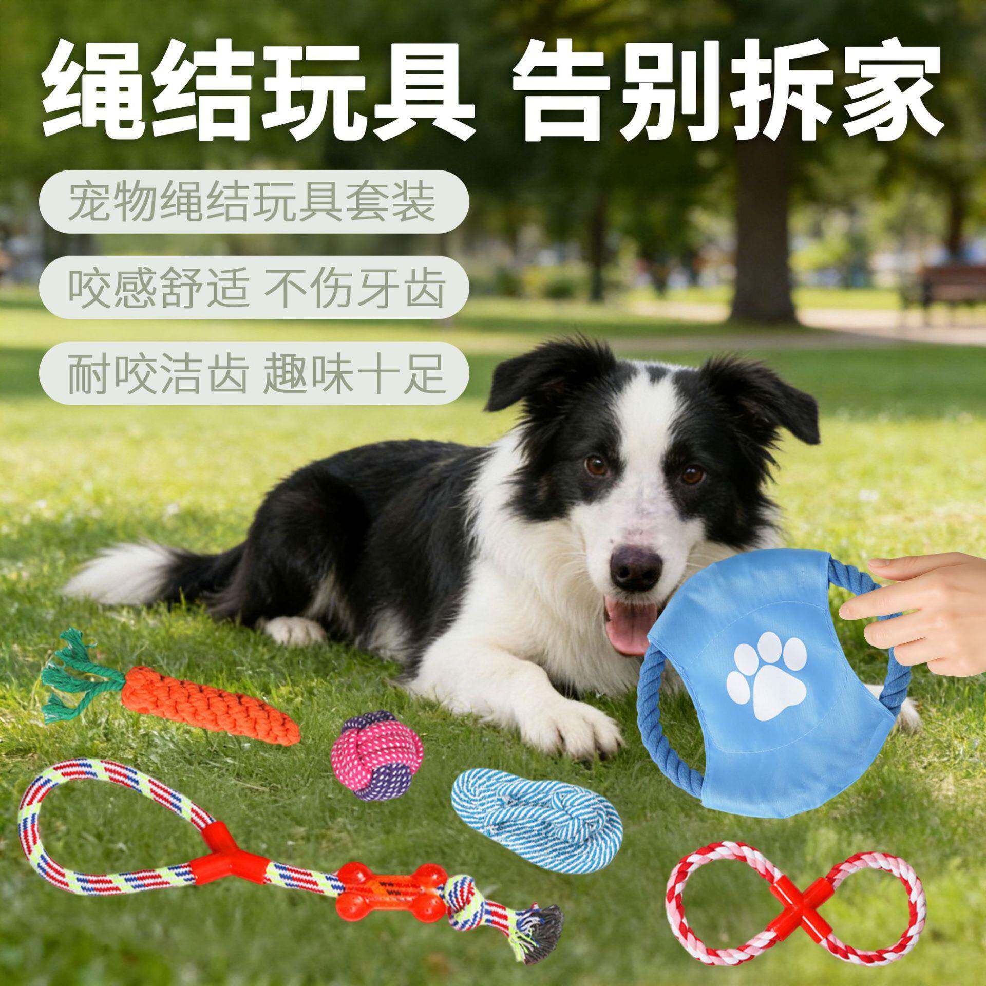 亚马逊热卖宠物玩具组合棉绳套装狗狗咬绳玩具磨牙自嗨玩具耐咬