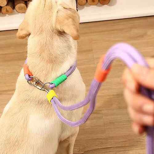 跨境宠物牵引绳 狗狗牵引绳项圈云朵泡泡棉牵引绳遛狗p链宠物项圈