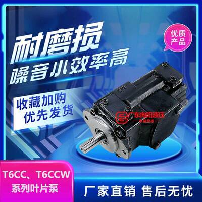 派克DENISON丹尼逊T6CC/T6CCW-028-014/017/020/022-1R00/2R00