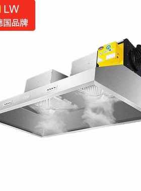 NGNLW【德国品牌】油烟机商用油烟净化器饭店炸鸡餐饮抽油烟净化6