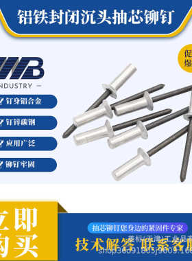 铝铁封闭型沉头抽芯拉铆钉3/3.2/4/4.8/5防水钉埋头钉GB12616.1