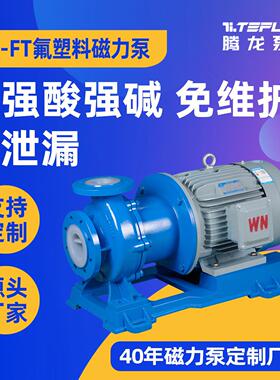 碱液磁力泵TMF-J碱液输送泵耐碱液磁力泵F46化工泵安徽