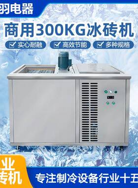 0.3T商用小型冰砖机厂房冷风机冰块机出口刚果ICE BLOCK MACHINE