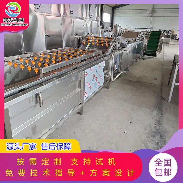山楂香梨气浴喷淋清洗机全自动清洗果蔬加工设备苹果清洗机