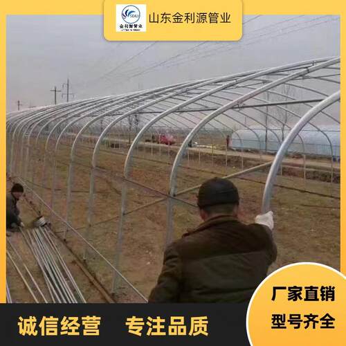 农业大棚骨架可折弯缩头热镀锌椭圆管包塑大棚钢管热镀锌管电线管