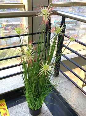 工厂仿葱真盆栽植物882C店洋草民晴天草芦苇水生绿植宿摆件手工