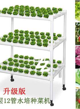 水培管道式蔬菜种菜机无土栽培设备自动化多层水耕种植架鱼菜共生