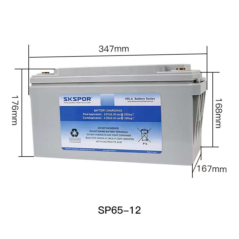 苏克士蓄电池6-GFM-12V100AH65AH38AH24AH17AH150AH200AH UPS电源