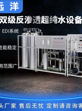 纯化水设备全自动超纯水RO反渗透EDI处理过滤净化高纯水机器设备