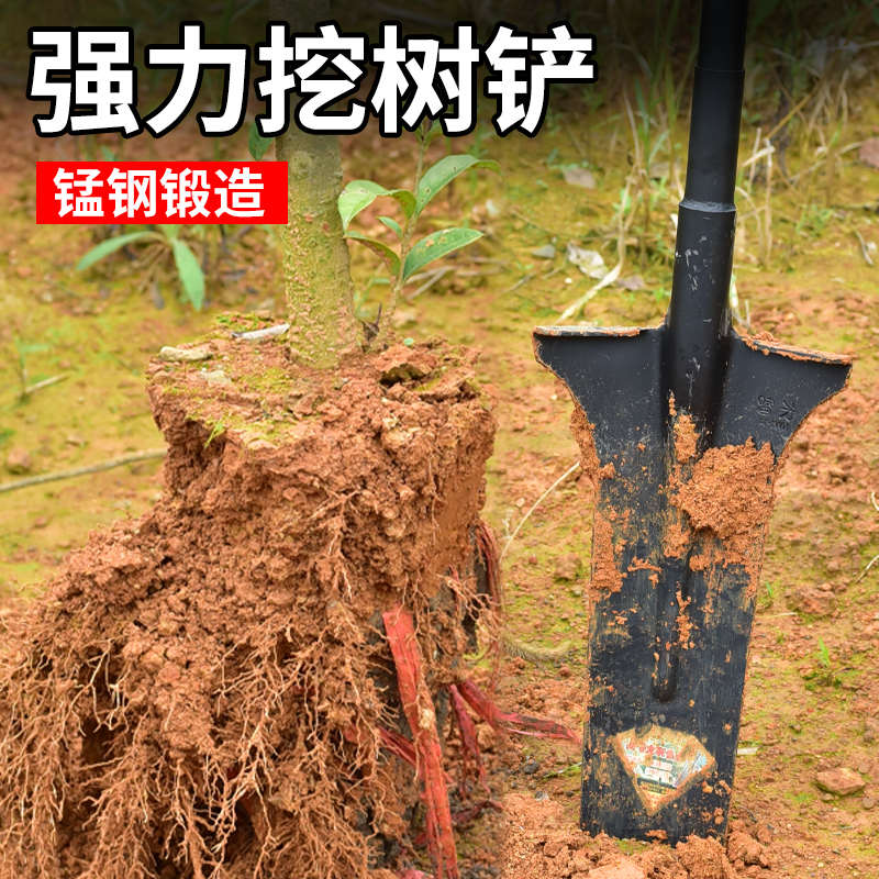 挖树铲锰钢加厚全钢钢锹挖树专用锹农用开沟挖土挖坑铁锹铁铲大号