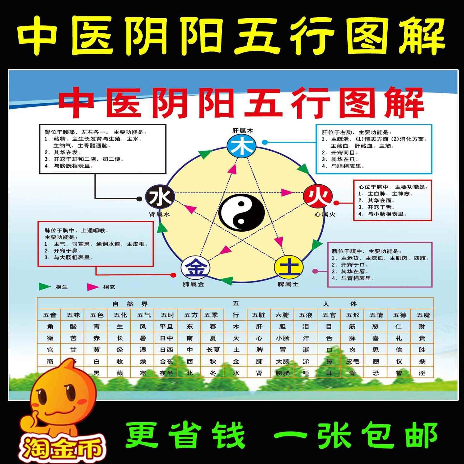 中医养生馆五行图解挂图挂画定制 人体五行五脏相生相克海报贴图