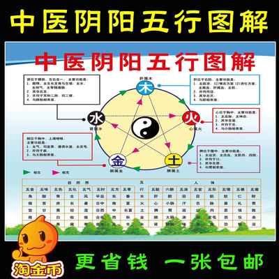 中医养生馆五行图解挂图挂画定制 人体五行五脏相生相克海报贴图
