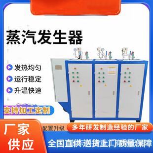 全自动电加热蒸汽养生器 不锈钢机身桥梁养护蒸汽机