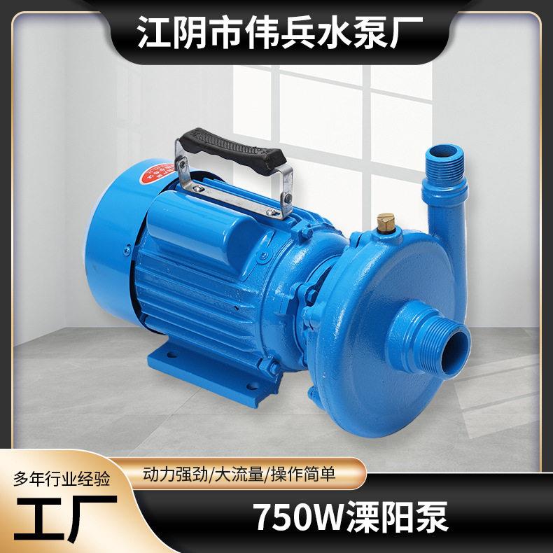 750w溧阳泵自建房家用家庭用水压泵大流量铸铁相微型清水泵