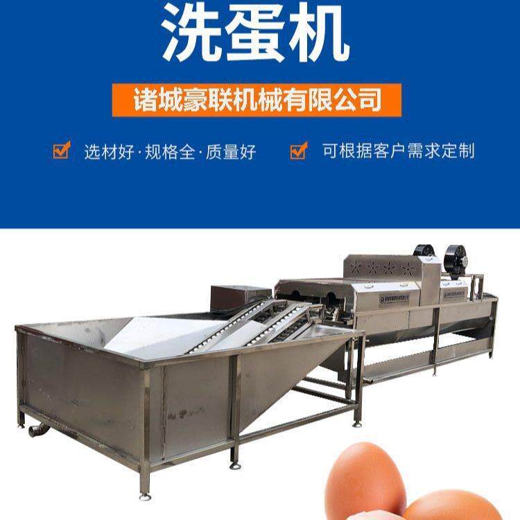 全自动洗蛋机 生产厂家 高效率清洗 盐水蛋 裹泥蛋 粪便蛋 支持