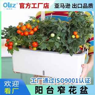 欧林泽花盆长条形花盆储水懒人花盆简约种菜盆挂式阳台种菜专用盆