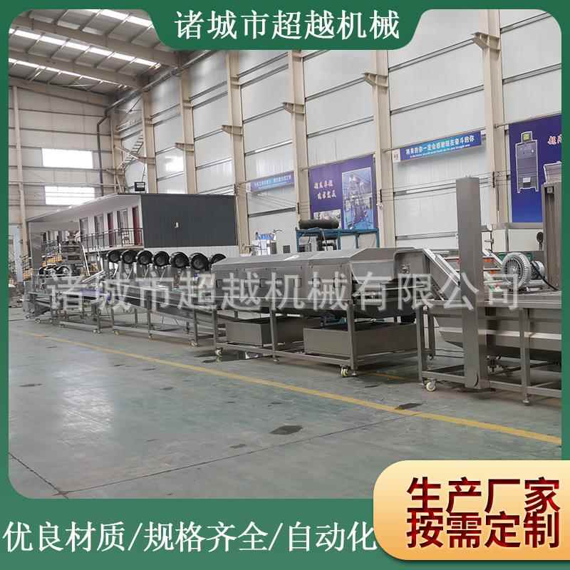 线厂家货源产西红蓝莓清洗机生果蔬清洗流水柿UVP气泡式表皮清洗