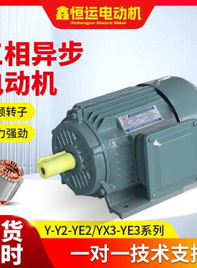 YE2-132S1-2三相异步电动机机械设备用电动机YE2-132S2-2电机厂