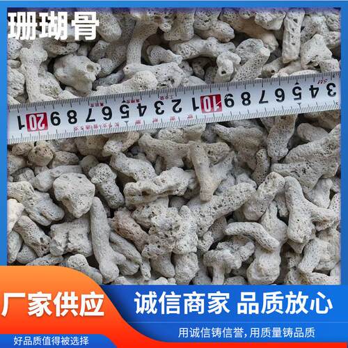 纯天然珊瑚骨鱼缸净化过滤材料珊瑚石造景骨底砂装饰滤材水族箱砂