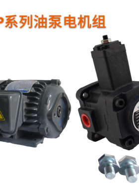 VP-30-40F-A3液压VVP1油泵VPV1电机VP4变量54叶片泵VP1-12/15/20F