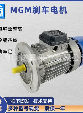 意大利MGM刹车电机BA系列变桨用电机BA90SA4 1.1KW