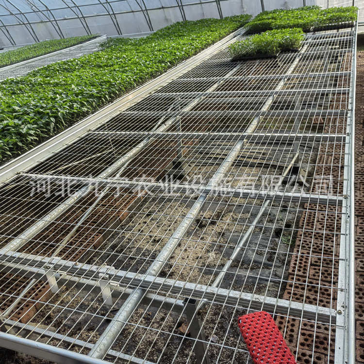 大棚育苗床网片 智能温室热镀锌移动苗床 花卉无土栽培苗床网厂家