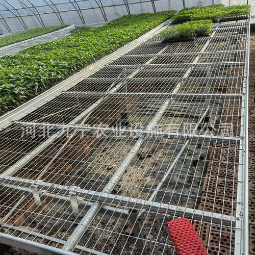 大棚育苗床网片 智能温室热镀锌移动苗床 花卉无土栽培苗床网厂家