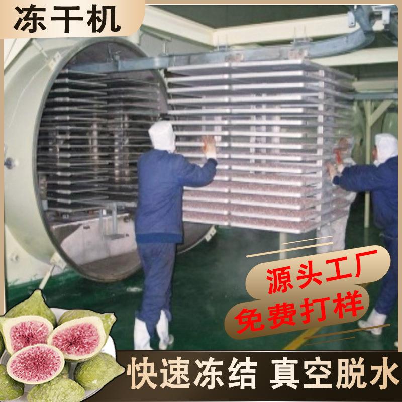 冻干玉米粒设备生产线 生物制品全自动红薯粒真空低温冻干机厂家