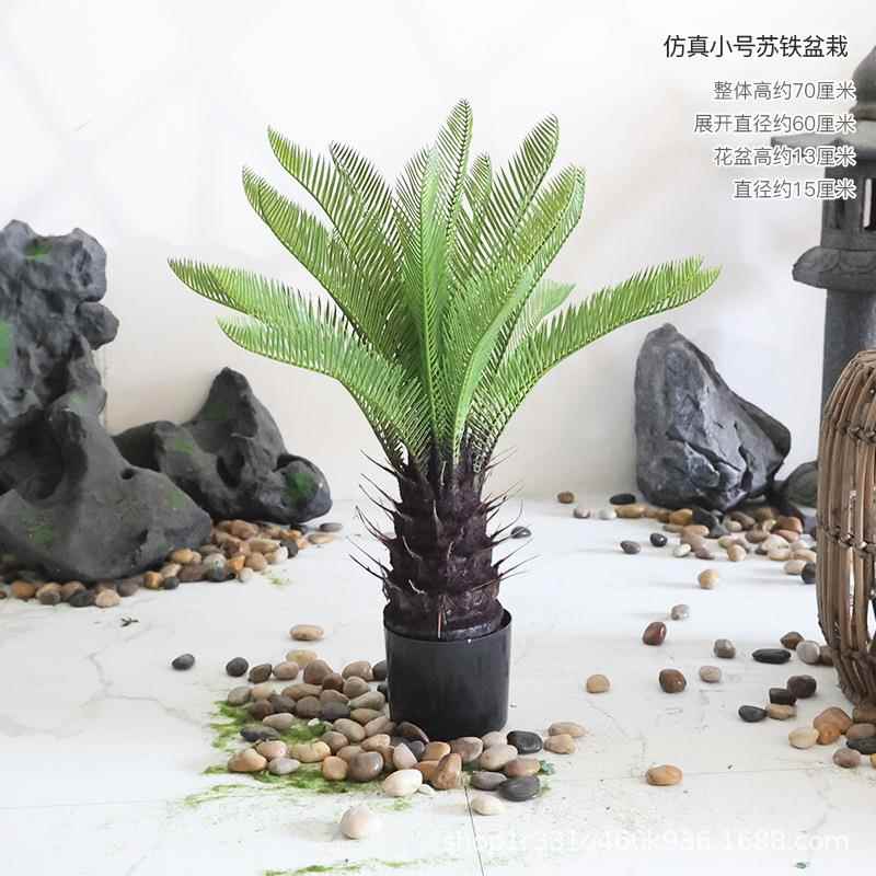 仿真苏铁树芭蕉树龙血树盆栽室内酒店商场造景仿真绿植装饰摆件