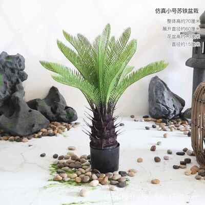 仿真苏树芭蕉绿树血树盆栽室龙内酒店商场造TBU景仿真植装铁饰摆