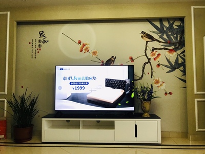 评价揭秘康佳65G5U与长虹65A4U哪款好用??使用差别大不大