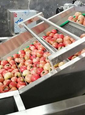 西红柿气泡清洗机 鼓泡喷淋式洗菜机器 小番茄连续涡流清洗机