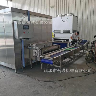 鱼类冷冻挂冰机 肉类产品去血水包冰衣 猪肉清洗挂冰机设备