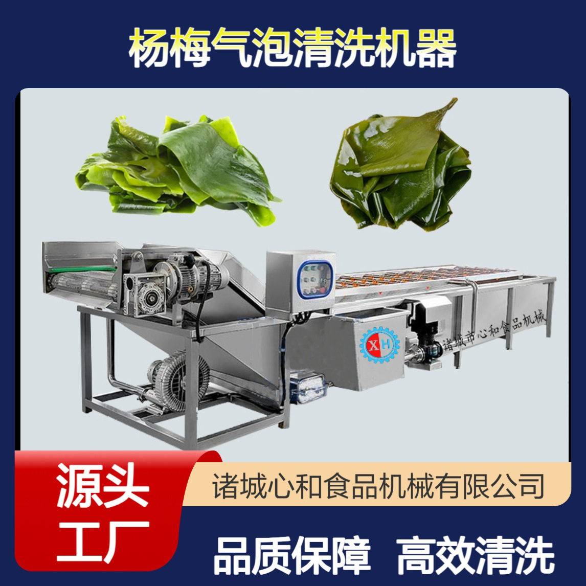 大型茶叶清洗机蔬菜清洗设备生产线蒲公英气泡式压喷淋洗菜机