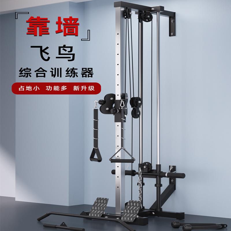 双滑轮多功能墙体飞鸟综合训练器低拉划船机高位下拉练背部的器械