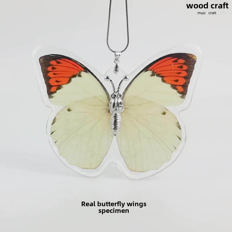 真蝴蝶标本昆虫树脂巴黎碧凤青凤蝶 工艺品收藏生日结婚送礼包邮