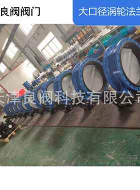 天津阀D良341X-640040Q阀门DN7001大口蝶径涡轮法兰阀厂家